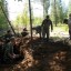 23.05.2017г. поисковый отряд "Память" поднял останки 60 воинов в районе с.Дерезовка