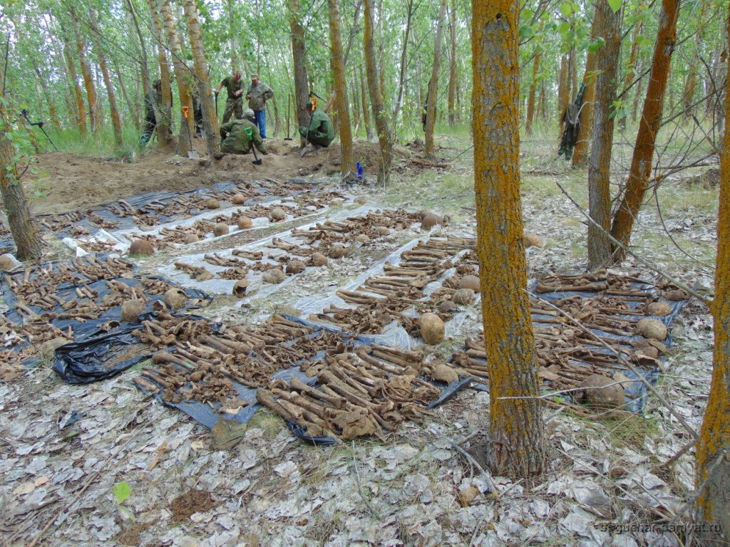 У села Дерезовка Верхнемамонского района найдены останки 74 советских воинов. 1