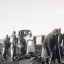 Узкоколейка. Окончание строительства