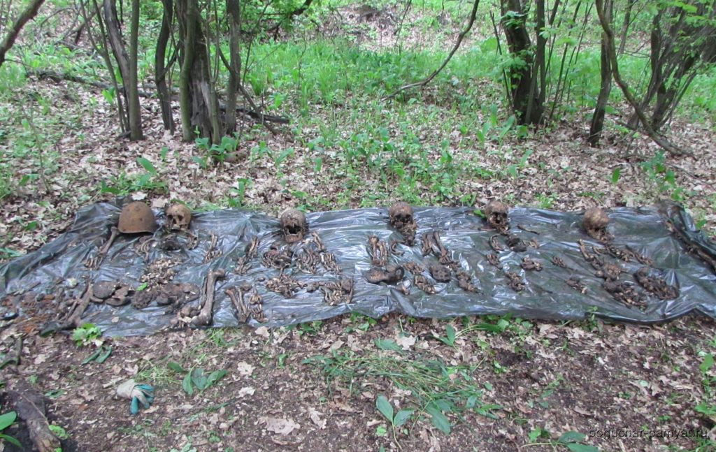 В Верхнемамонском районе найдены останки 8 советских воинов. 3
