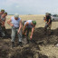 23.07.2018г. в районе с.Лофицкое найдено место крушения самолёта